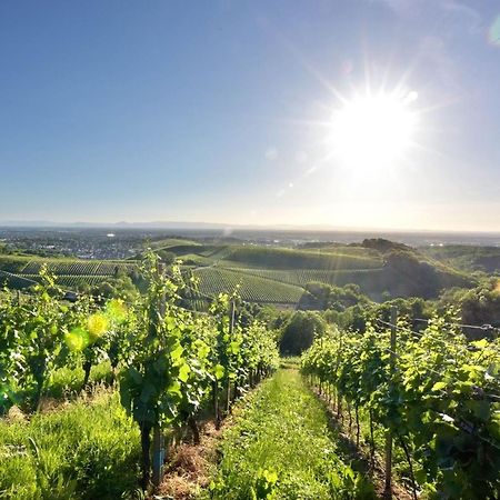 Ferienwohnungen Weingut Pieper Basler Offenburg Ngoại thất bức ảnh